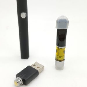 RECHARGEABLE VAPE PEN $40 includes 1 cart