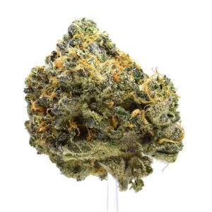 HAMMER OF THE GODS (AAAA) $100/oz
