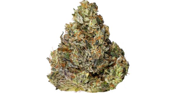 ORIGINAL PINK ZAZA (AAAA) $100/oz