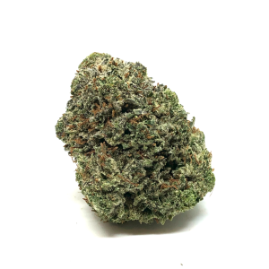 CHAMPAGNE KUSH (AAAA) $100/oz