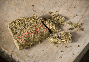 hash concentrates extraction