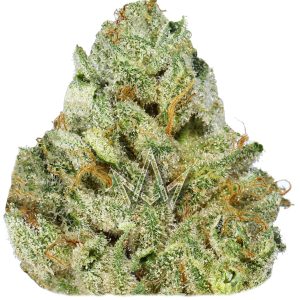 SOFA SURFER (AAAA) $80/oz