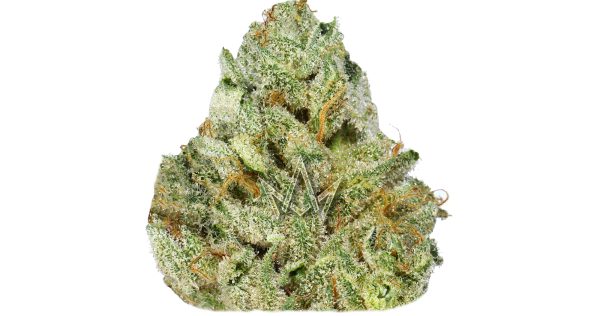 SOFA SURFER (AAAA) $80/oz