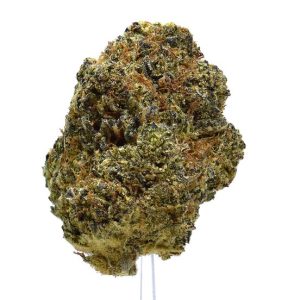 41 UNICORNZ (AAAA) $100/oz