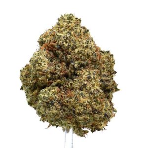 ALIEN STARDAWG  (AAAA) $100/oz