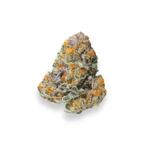 KING SHERBERT (AAAA) $160