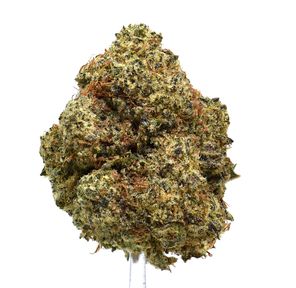 GARLIC BUDDER (AAAA) $100/oz