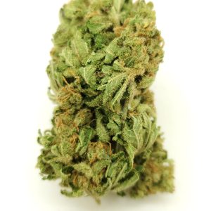 UNDER THE STARS (AAA) $50/oz