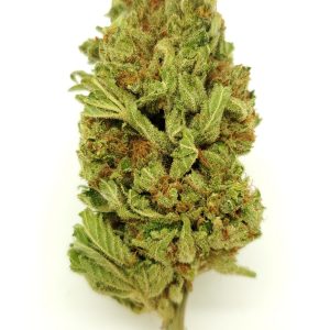 DR. KUSH (AAA) $50/oz