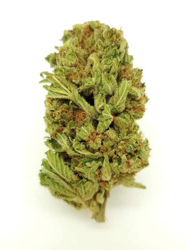 DR. KUSH (AAA) $50/oz