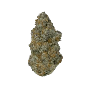 GMO ROOTBEER (AAAA) $100/oz