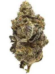 JUICY WRECK (AAAA) $100/oz