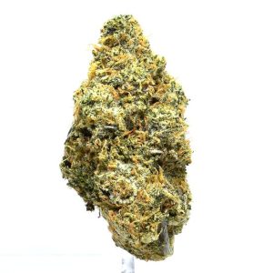 JUNGLE ANIMAL COOKIES (AAAA) $100/oz