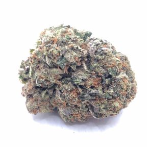 GAS MASK (AAAA) |SALE|