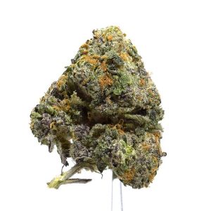 TIGER ICE CREAM (AAAA) |SALE|