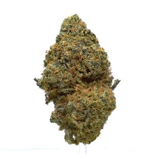 CHOCOLOPE (AAAA) $120/oz