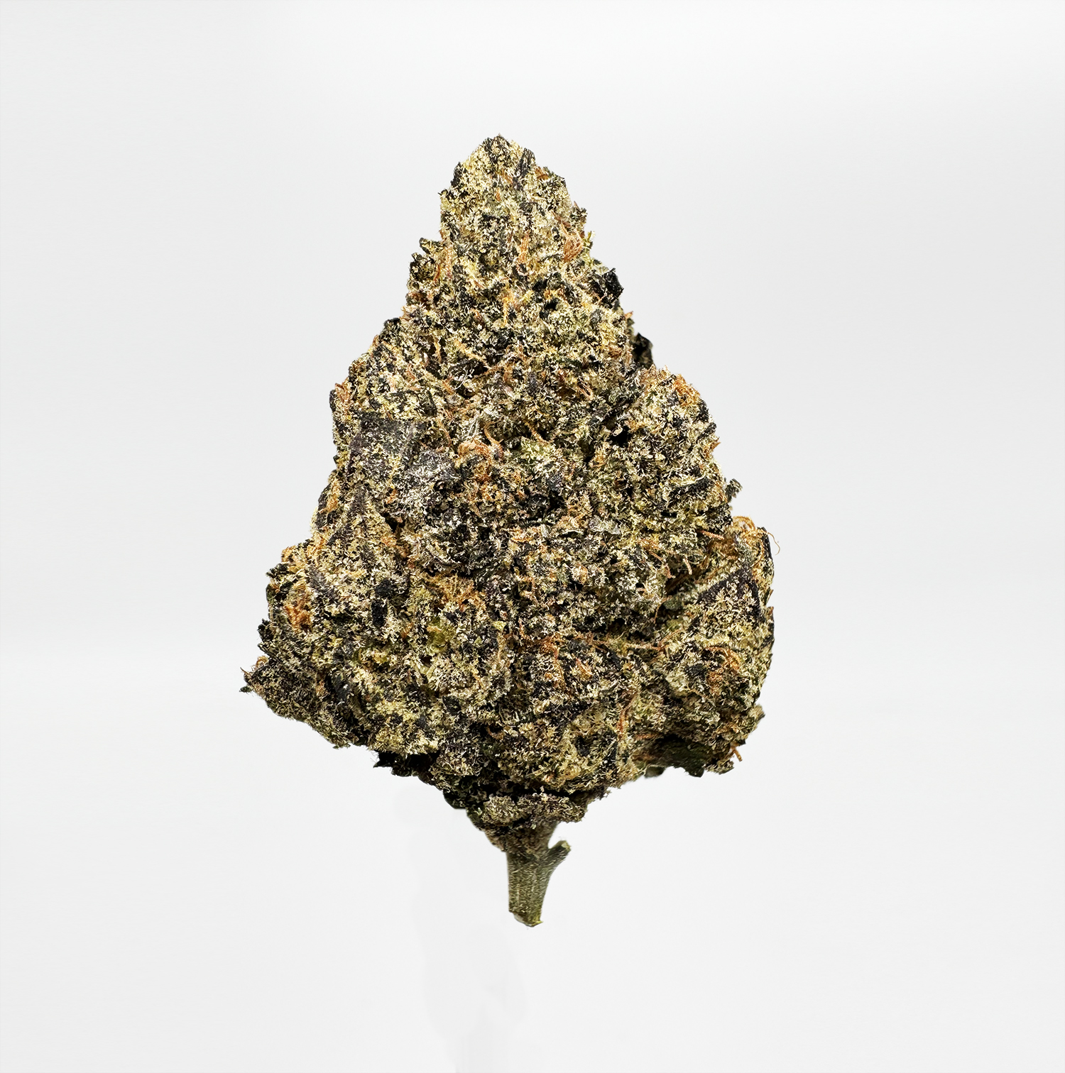 SHERBLATO (AAAA) $100/oz