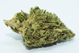 ALOCHOLIC ALLIGATOR (AAA) $50/oz