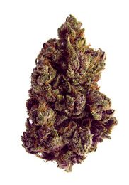 BLACK CHERRY SODA (AAA) $50/oz