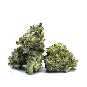 PINK FRENZY (AAAA) |SALE|