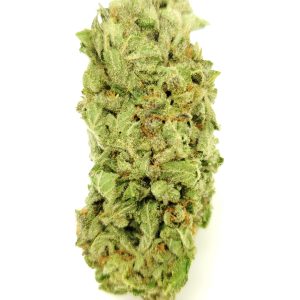 ZOMBIE VIRUS (AAA) $50/oz