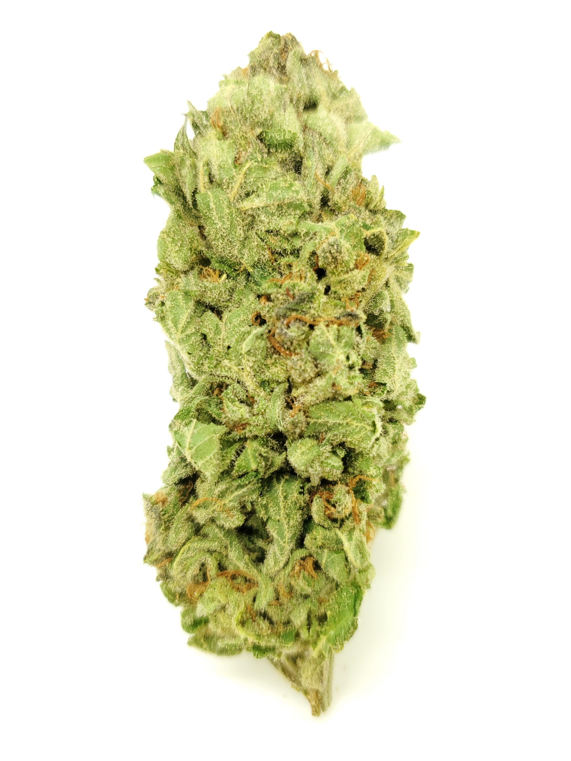 ZOMBIE VIRUS (AAA) $50/oz