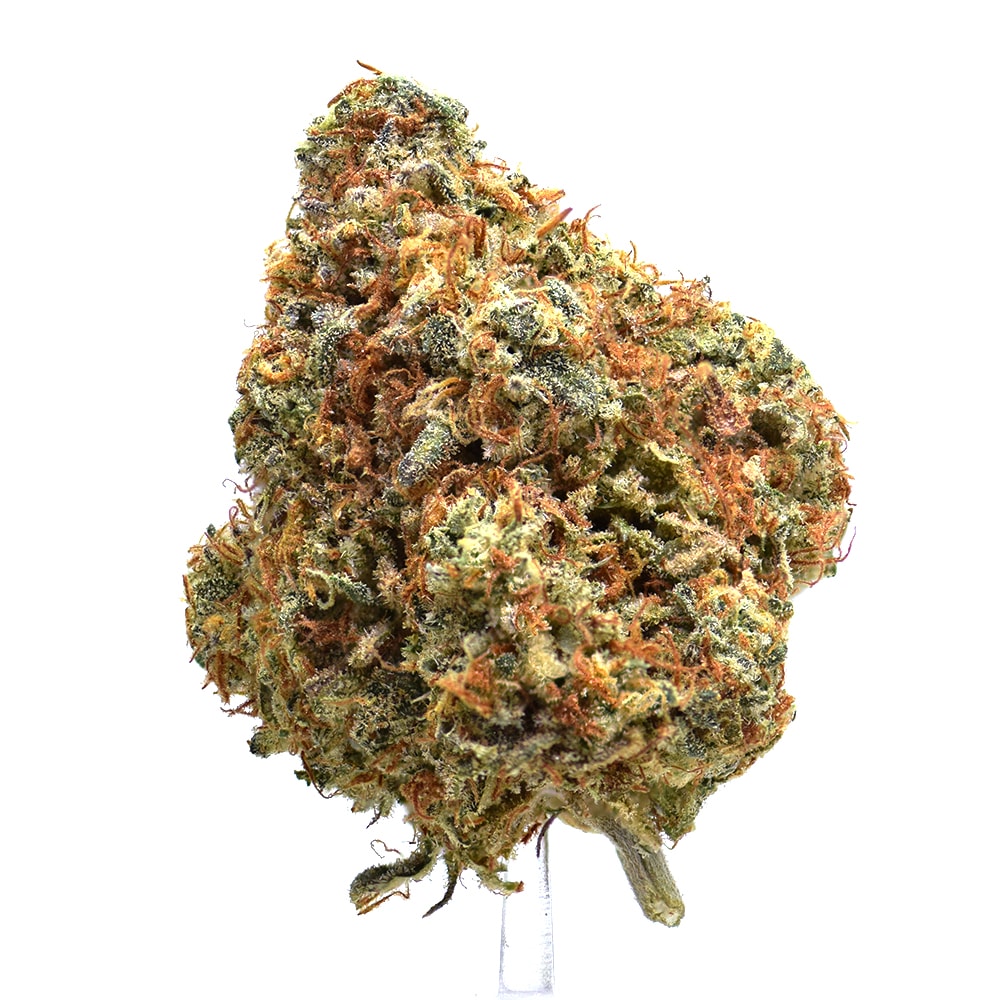 FORUM STOMPER (AAAA) $80/OZ